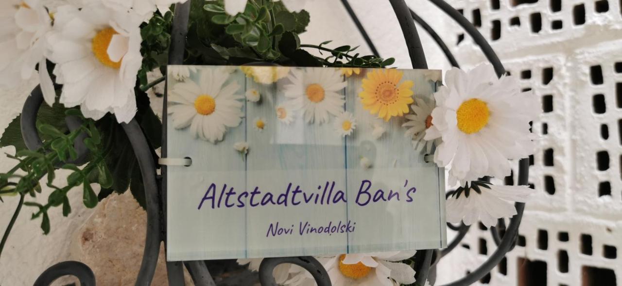 Altstadtvilla Ban'S Novi Vinodolski Eksteriør billede